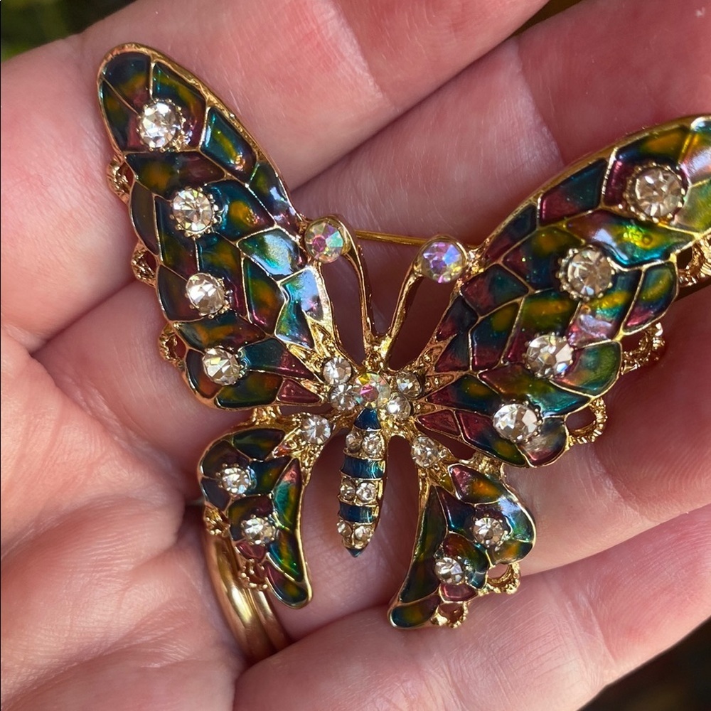 Colorful Butterfly Brooch - Picture 9 of 10